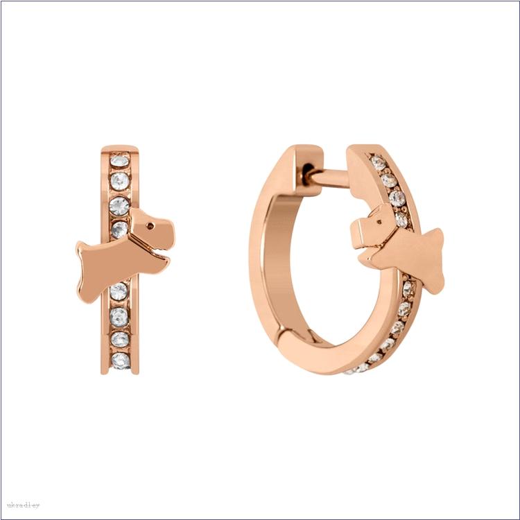  BAGRadleyUK Cuba Street, Stone Set Hoop Earrings