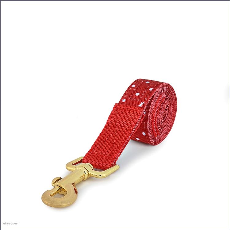  BAGRadleyUK Dog Leash, Dog Leash